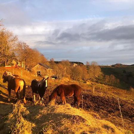 Сasa de vacaciones Basalte